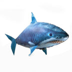 Finn the Flying Fish